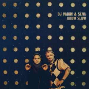 melomelanj.ro - DJ Vadim - Grow Slow - Vinil