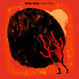 melomelanj.ro - Web Web - Web Max - Vinil