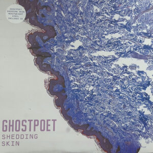 melomelanj.ro - Ghostpoet - Shedding Skin - Vinil